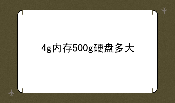 4g内存500g硬盘多大