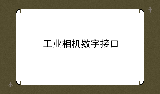 工业相机数字接口