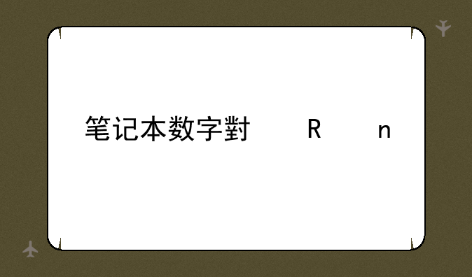 笔记本数字小键盘
