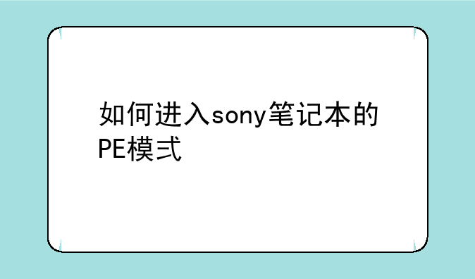 如何进入sony笔记本的PE模式。