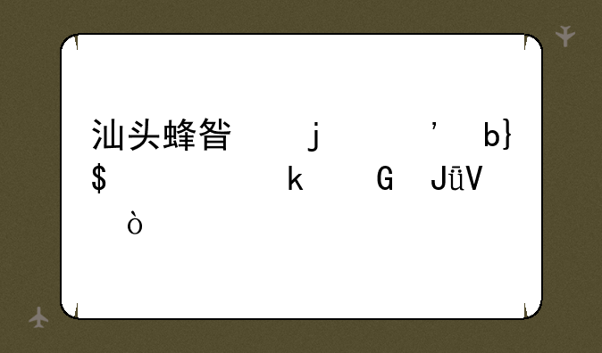 汕头蜂星的三星I9070多少钱啊？