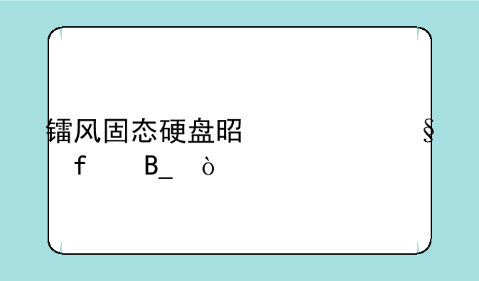 镭风固态硬盘是七彩虹吗？