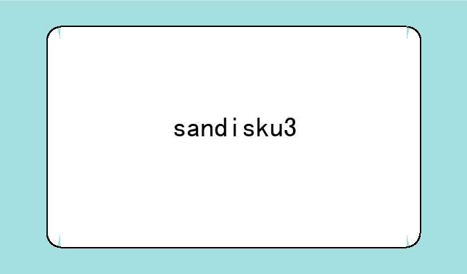 sandisku3