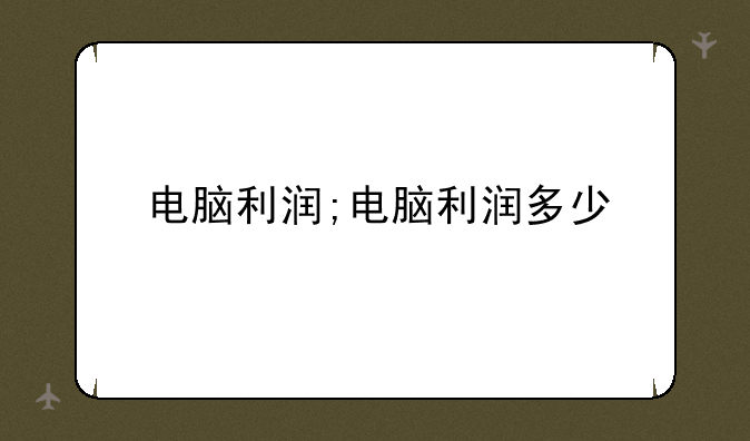电脑利润;电脑利润多少