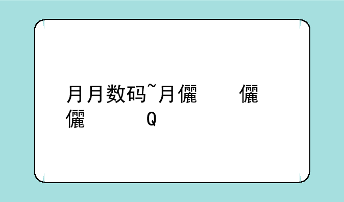 月月数码~月儿数码