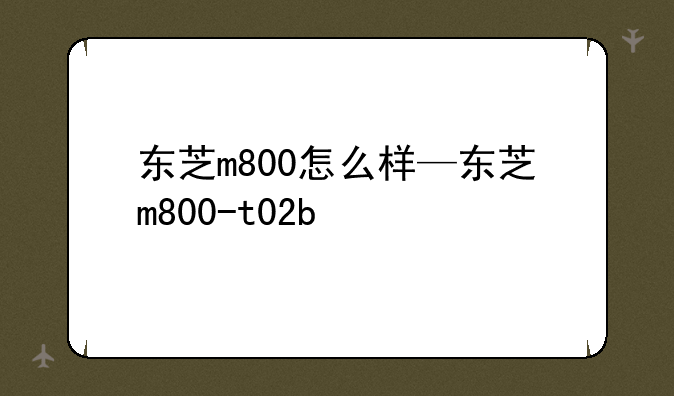 东芝m800怎么样—东芝m800-t02b