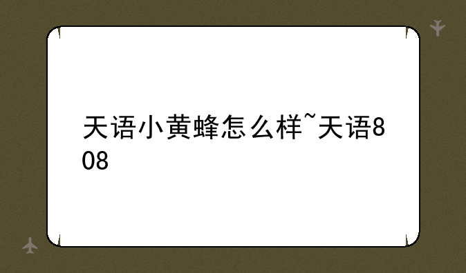 天语小黄蜂怎么样~天语808
