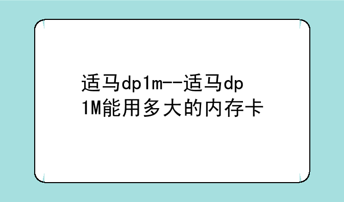 适马dp1m--适马dp1M能用多大的内存卡