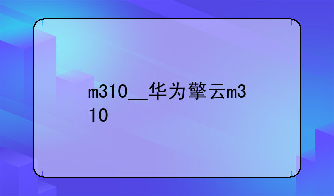 m310__华为擎云m310